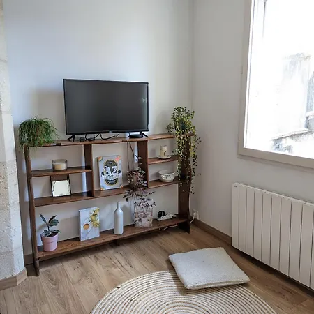 Cocon Lumineux Sous Les Toits De Séjour chez l'habitant *