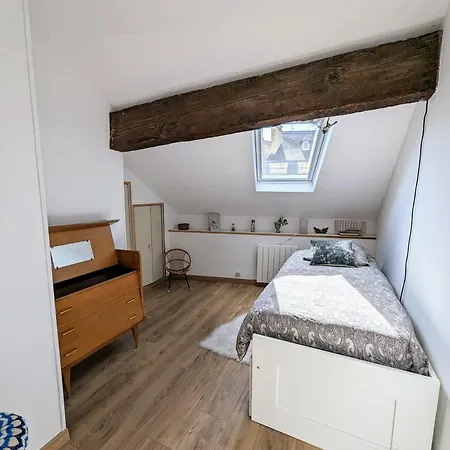 Homestay Cocon Lumineux Sous Les Toits De Bordeaux